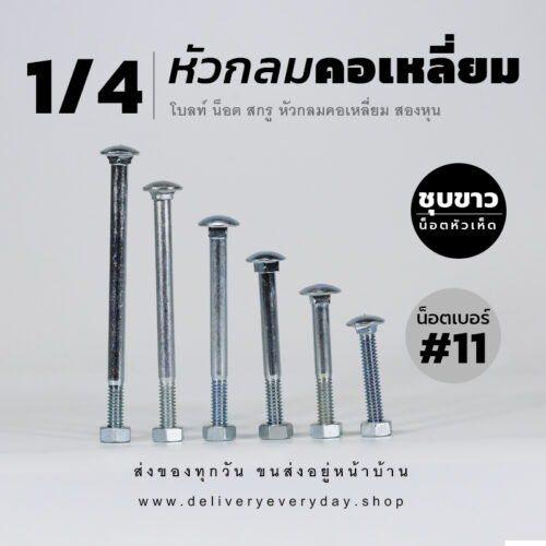 โบลท์เสาขันไม้เกลียวสองหุน 1/4 นิ้ว หัวเห็ด หัวกลมคอเหลี่ยม พร้อมน็อตตัวเมียเบอร์ 11 - ชุบขาว