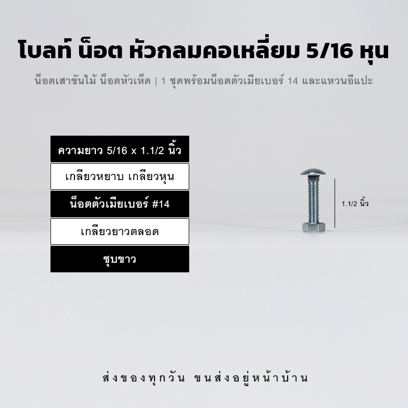 โบลท์เสาขันไม้เกลียวสองหุนครึ่ง 5/16 นิ้ว หัวเห็ด หัวกลมคอเหลี่ยม พร้อมน็อตตัวเมียเบอร์ 14 - ชุบขาว