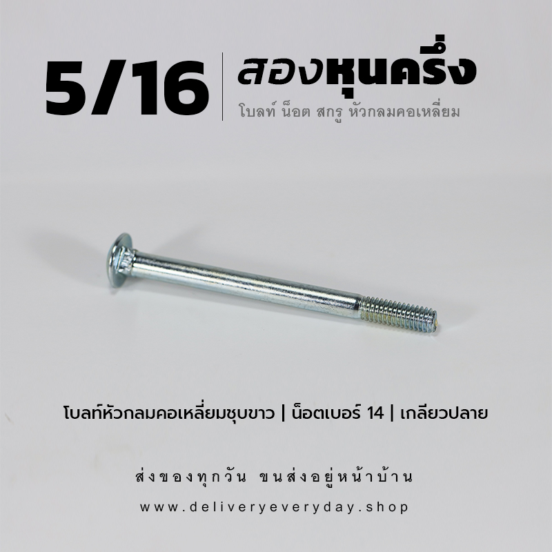 โบลท์เสาขันไม้เกลียวสองหุนครึ่ง 5/16 นิ้ว หัวเห็ด หัวกลมคอเหลี่ยม พร้อมน็อตตัวเมียเบอร์ 14 - ชุบขาว