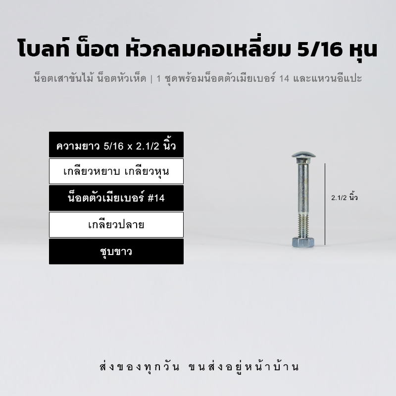 โบลท์เสาขันไม้เกลียวสองหุนครึ่ง 5/16 นิ้ว หัวเห็ด หัวกลมคอเหลี่ยม พร้อมน็อตตัวเมียเบอร์ 14 - ชุบขาว