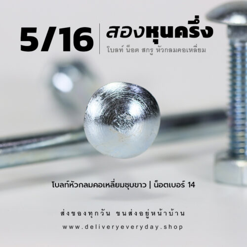 โบลท์เสาขันไม้เกลียวสองหุนครึ่ง 5/16 นิ้ว หัวเห็ด หัวกลมคอเหลี่ยม พร้อมน็อตตัวเมียเบอร์ 14 - ชุบขาว