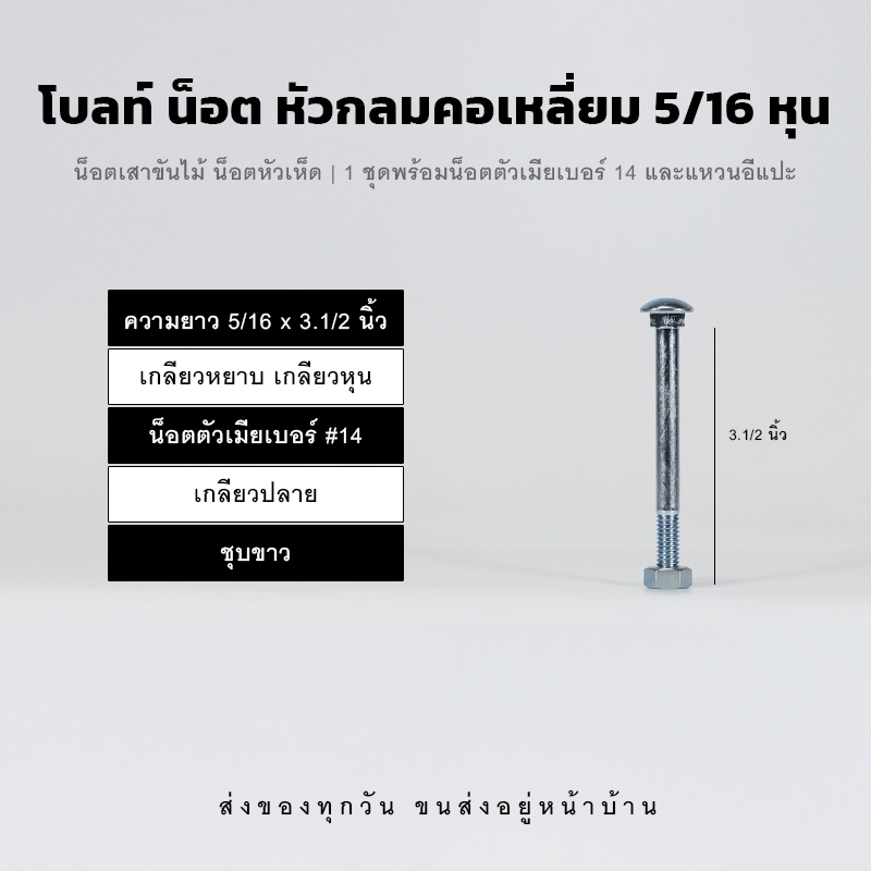 โบลท์เสาขันไม้เกลียวสองหุนครึ่ง 5/16 นิ้ว หัวเห็ด หัวกลมคอเหลี่ยม พร้อมน็อตตัวเมียเบอร์ 14 - ชุบขาว