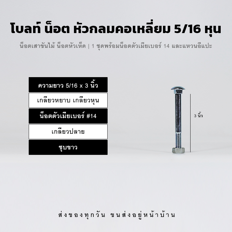 โบลท์เสาขันไม้เกลียวสองหุนครึ่ง 5/16 นิ้ว หัวเห็ด หัวกลมคอเหลี่ยม พร้อมน็อตตัวเมียเบอร์ 14 - ชุบขาว