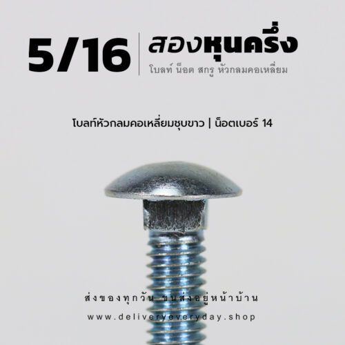 โบลท์เสาขันไม้เกลียวสองหุนครึ่ง 5/16 นิ้ว หัวเห็ด หัวกลมคอเหลี่ยม พร้อมน็อตตัวเมียเบอร์ 14 - ชุบขาว