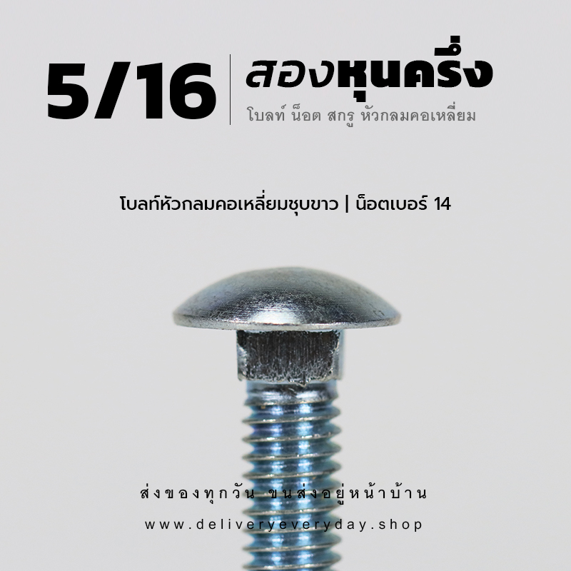 โบลท์เสาขันไม้เกลียวสองหุนครึ่ง 5/16 นิ้ว หัวเห็ด หัวกลมคอเหลี่ยม พร้อมน็อตตัวเมียเบอร์ 14 - ชุบขาว