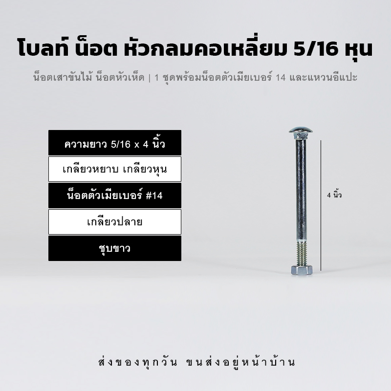 โบลท์เสาขันไม้เกลียวสองหุนครึ่ง 5/16 นิ้ว หัวเห็ด หัวกลมคอเหลี่ยม พร้อมน็อตตัวเมียเบอร์ 14 - ชุบขาว