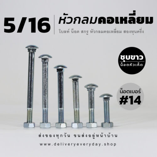 โบลท์เสาขันไม้เกลียวสองหุนครึ่ง 5/16 นิ้ว หัวเห็ด หัวกลมคอเหลี่ยม พร้อมน็อตตัวเมียเบอร์ 14 - ชุบขาว