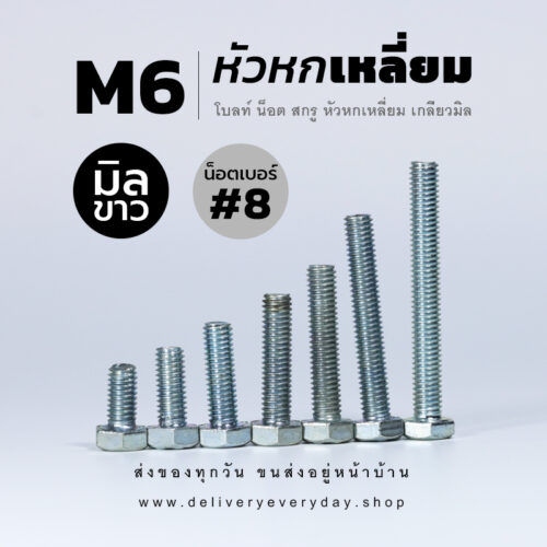 โบลท์ น็อต สกรูหัวหกเหลี่ยม M6 น็อตเบอร์ 8 เกลียว 1.00 - ชุบขาว