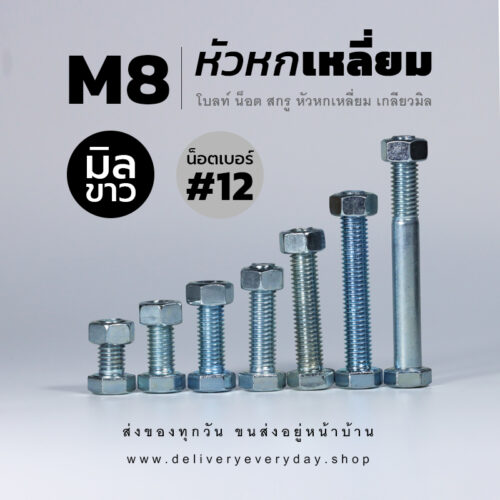 โบลท์ น็อต สกรูหัวหกเหลี่ยม M8 น็อตเบอร์ 12 เกลียว 1.25 - ชุบขาว