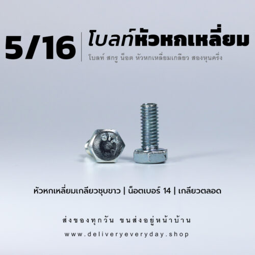 โบลท์หัวหกเหลี่ยม 5/16 นิ้ว สองหุนครึ่ง น็อตเบอร์ 14 – ชุบขาว