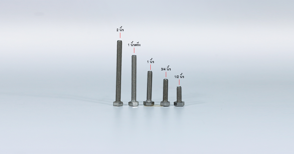 โบลท์ น็อต สกรู หัวหกเหลี่ยมเกลียว 3/16 หุน หุนครึ่ง หรือ 4.76 มิล น็อตเบอร์ 8 – สแตนเลสเกรด 304