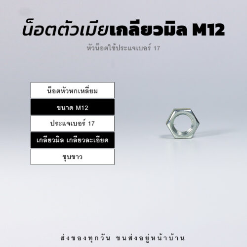 หัวน็อตตัวเมีย หกเหลี่ยม เกลียวมิล เกลียวละเอียด – ชุบขาว