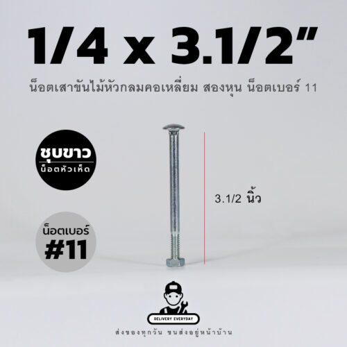 น็อตเสาขันไม้หัวกลมคอเหลี่ยมชุบขาวขนาดสองหุน