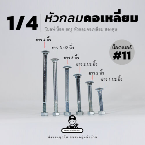 นอตเสาขันไม้เกลียวสองหุน 1/4 นิ้ว หัวเห็ด หัวกลมคอเหลี่ยม พร้อมน็อตตัวเมียเบอร์ 11 - ชุบขาว